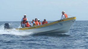 ARAP niega existan barcos pesqueros de conveniencia con bandera panameña