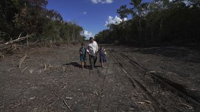 Construcción de Tren Maya en México