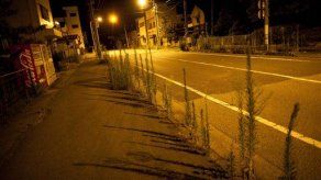 Pueblo japonés agobiado por pérdidas a un año del tsunami