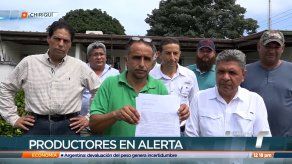 Productores de Chiriquí solicitan ser incluidos en mesa única de diálogo Productores de Chiriquí solicitan ser incluidos en mesa única de diálogo