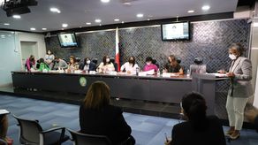 La viceministra de Salud, Ivette Berrío, compareció ante la Comisión de Salud de la Asamblea Nacional.