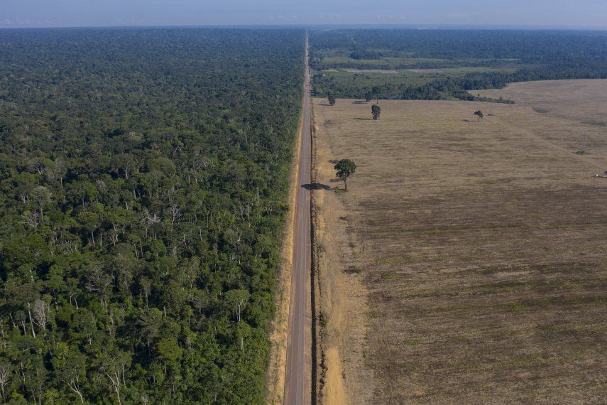 Las escasas precipitaciones de noviembre a abril en Brasil complican el panorama de la destrucción en ciertas partes de la Amazonia donde se talan y queman árboles para despejar tierras de pastoreo.