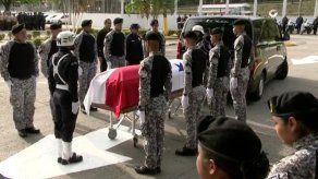 Rinden honores y dan último adiós a lince fallecida en accidente de tránsito Rinden honores y dan último adiós a lince fallecida en accidente de tránsito