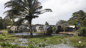MiAmbiente MiAmbiente