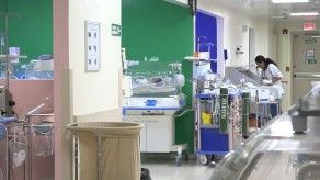 Mides evaluará a la familia que tuvo cuatrillizos en Chiriquí