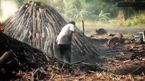 Los guardianes del manglar en la bahía de Chame