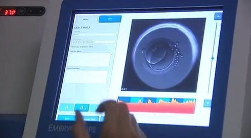 La música mejora la fecundación de los óvulos in vitro en un 4,8 %