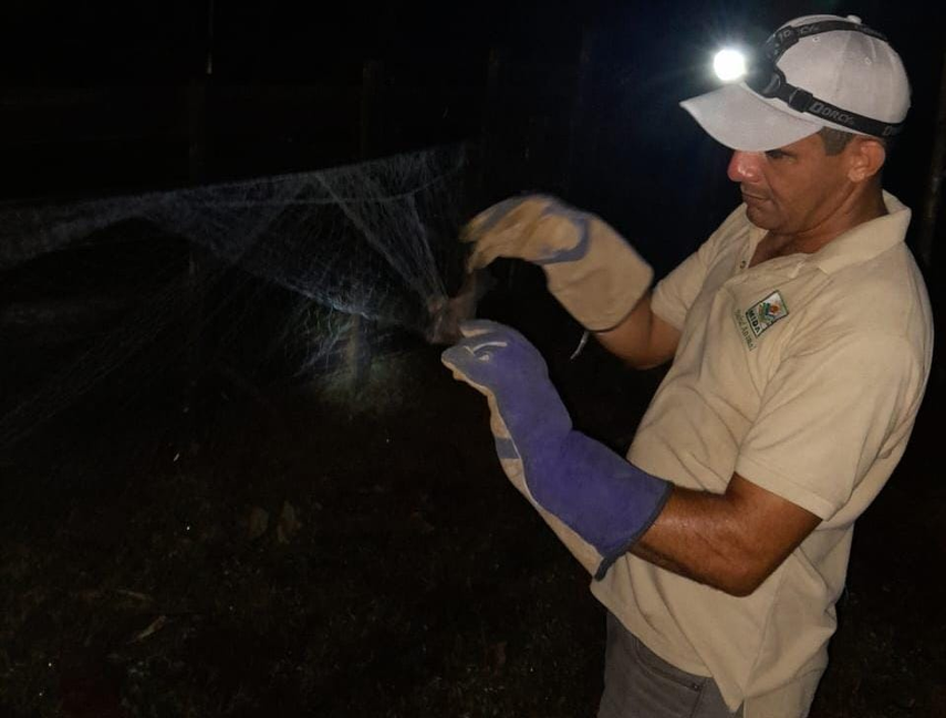 MIDA implementan acciones de control y prevención tras caso de rabia en bovino MIDA implementan acciones de control y prevención tras caso de rabia en bovino