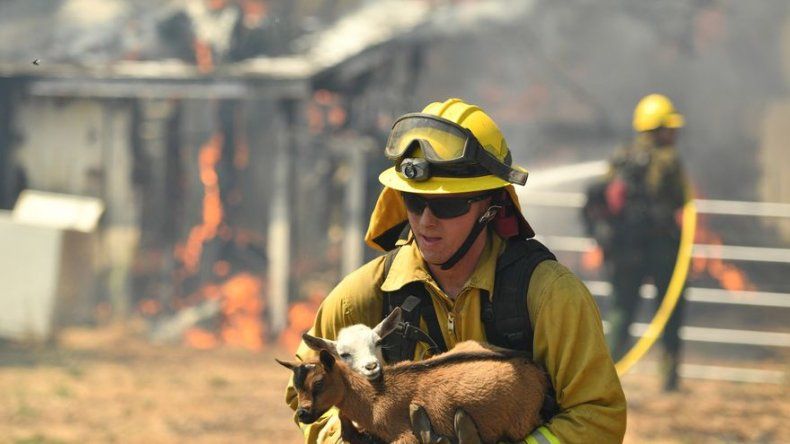Incendio en California obliga a desalojar a 4.000 personas