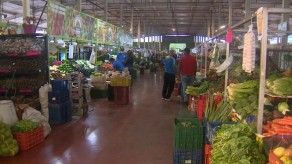 Minsa recorre Merca  Panamá para verificar medidas de bioseguridad