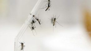 Levantan alerta de zika que desaconsejaba barrio de Miami a embarazadas