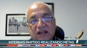 Vocero de Realizando Metas confirma que elecciones internas de este domingo si se realizarán