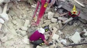 Rescatan un gato de los escombros dos semanas después del terremoto