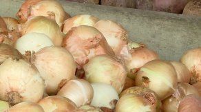 Administrador de Aupsa dice que esa entidad no puede frenar las importaciones