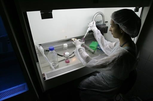 La vida empieza con la implantación del óvulo fecundado, según Corte IDH