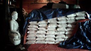 Panamá incrementará producción de arroz