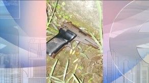 Han sacado 40 armas de fuego de circulación en la provincia de Chiriquí Han sacado 40 armas de fuego de circulación en la provincia de Chiriquí