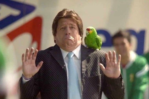 Retiran anuncios con DT de México por fomentar venta de especies protegidas