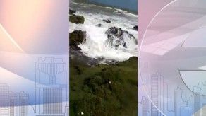 Fallece un menor en Guna Yala tras caerle tronco encima
