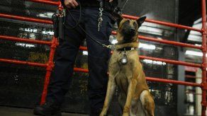 FBI y Policía de Nueva York envían agentes a Bruselas para investigar ataques