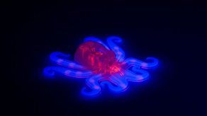 Crean Octobot