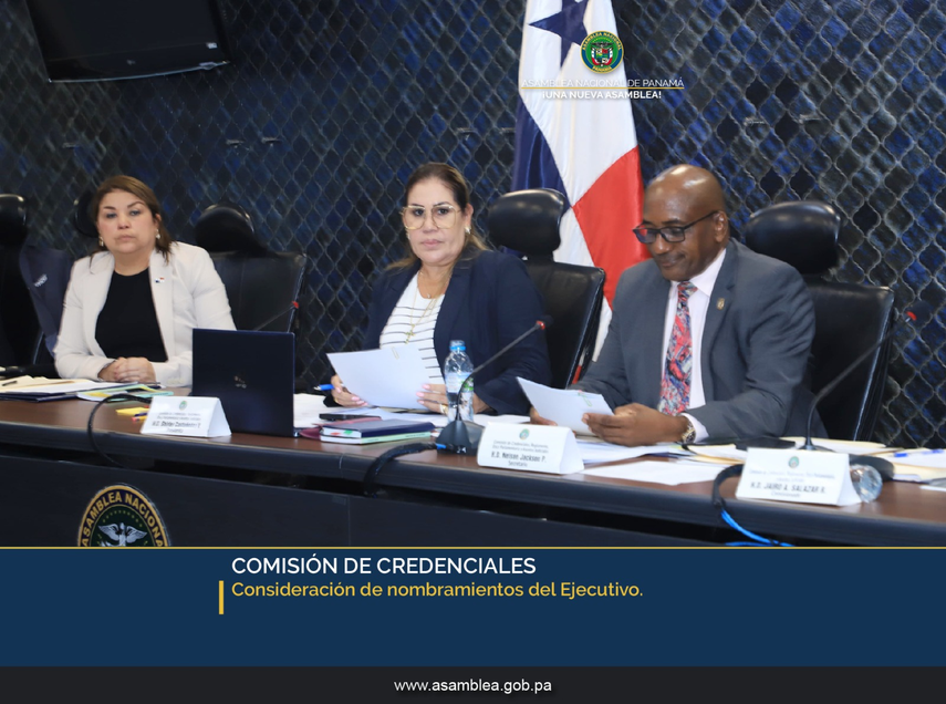 Comisión de Credenciales considera los nombramientos de magistrados suplentes de la CSJ.