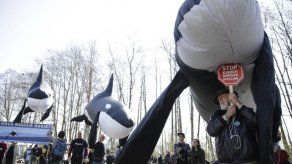 Justicia de Canadá suspende construcción del polémico oleoducto al Pacífico