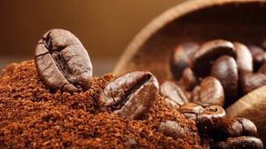 En total fueron subastadas 1,762 libras de café Geisha.