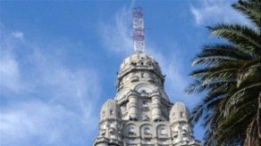 Montevideo apela a gavilanes para combatir plaga de palomas