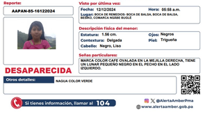 Activan Alerta Amber por desaparición de Yalaidis Palacio