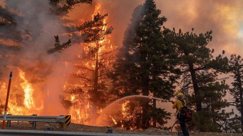 Miles de californianos sufren apagones programados para prevenir incendios