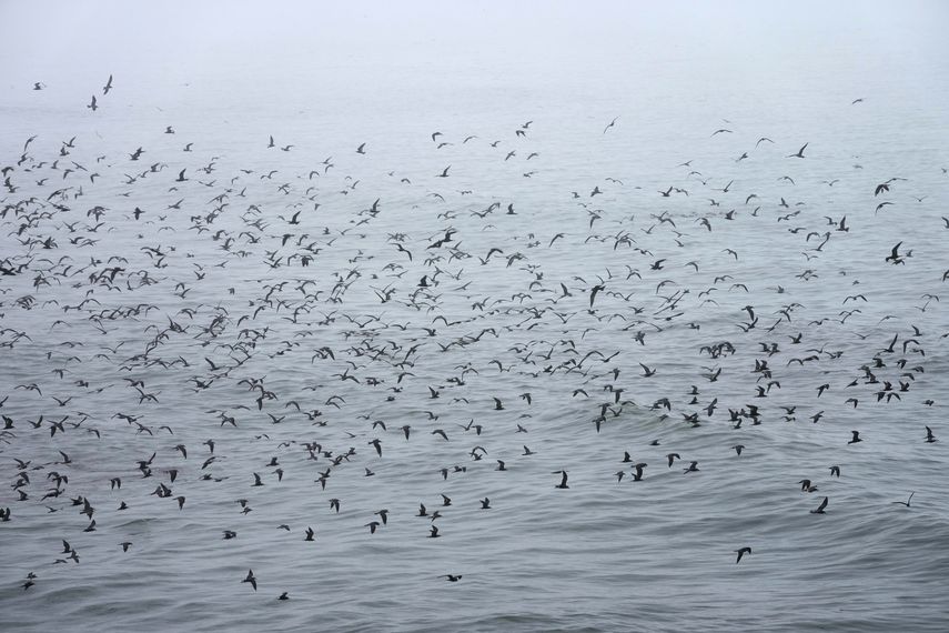 El gobierno peruano afirma que se derramó el equivalente a 11