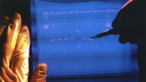 El genoma humano está formado por unos 3.100 millones de subunidades de ADN, pares de bases químicas conocidas por las letras A, C, G y T.&nbsp;