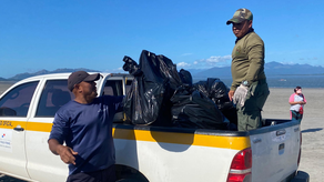 Retiran 245 kilos de desechos en jornada de limpieza en la Bahía de Chame. Retiran 245 kilos de desechos en jornada de limpieza en la Bahía de Chame.