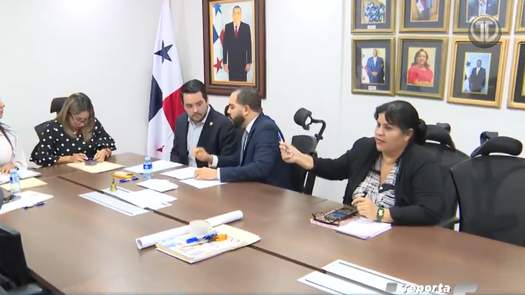 Diputado suplente propone fijar un salario Diputado suplente propone fijar un salario