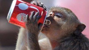 Coca-Cola traslada su fórmula por primera vez desde 1925