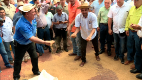 Productores de arroz realizarán nueva protesta en rechazo a la importación