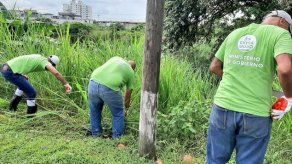 Privados de libertad realizan limpieza de lotes baldíos como trabajo comunitario