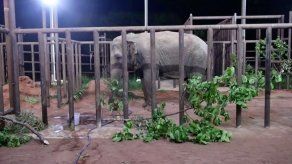 Ramba