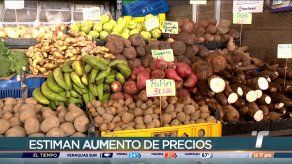 Productores estiman posible aumento en precio de hortalizas