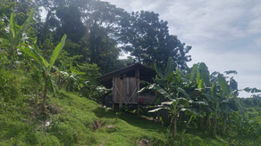 ¿Qué encontró la DIJ, tras el hallazgo de osamenta de niños?