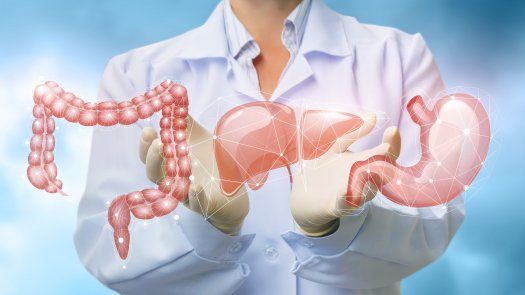 Una buena salud digestiva previene el desarrollo del cáncer gastrointestinal