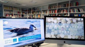 Microplástico: pequeños fragmentos para un gran problema