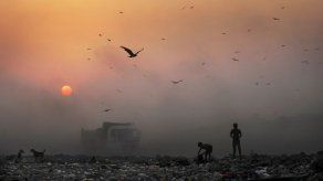 Nueva Delhi anuncia medidas para combatir la contaminación