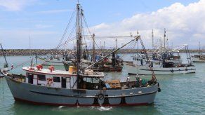 Más de 130 embarcaciones zarparon hacia el mar tras culminar el primer periodo de veda de camarón. Más de 130 embarcaciones zarparon hacia el mar tras culminar el primer periodo de veda de camarón.