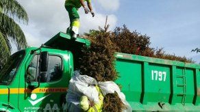 Archivo