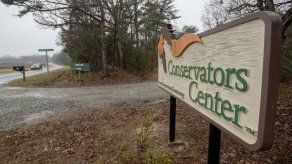 León que mató a cuidadora fue sometido de 8 disparos