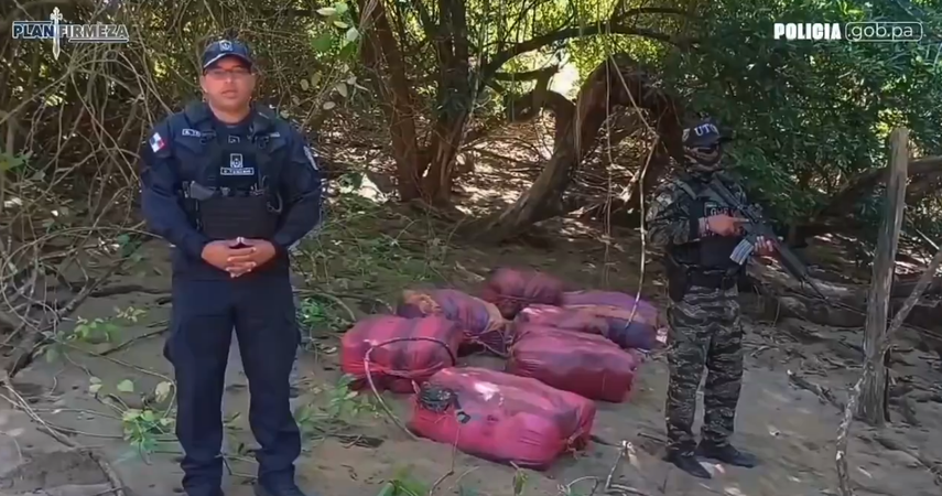 Policía Nacional decomisa 240 paquetes de presunta droga