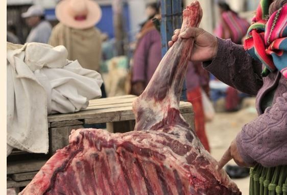 Arrestan a mujer acusada de matar perros y vender su carne en México