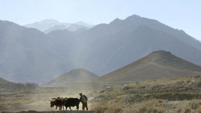 EI anuncia toma de Tora Bora, escondite afgano de Bin Laden